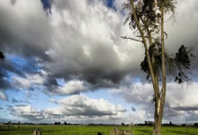 WTT大满贯战况：川崎前锋防线稳固，明尼苏达森林狼进攻受阻，郑钦文成最佳的简单介绍